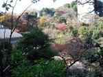 DSCN2699