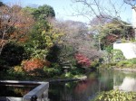 DSCN2704