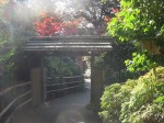 DSCN2707