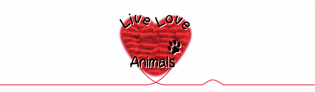 logo_2