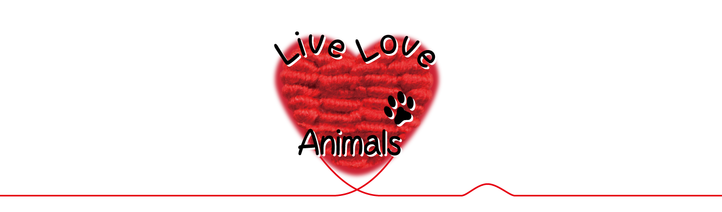 logo_2