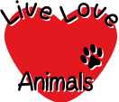 logo_e