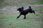 IMG_9280