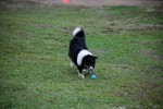 IMG_9325