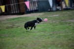 IMG_9332