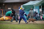 IMG_9349