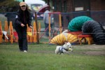 IMG_9364