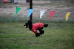 IMG_9399