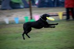 IMG_9453