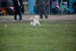IMG_9477