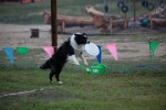 IMG_9501