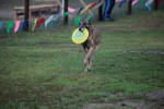IMG_9553