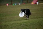 IMG_9586
