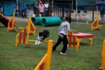 IMG_9715