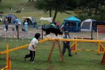 IMG_9726