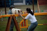 IMG_9730
