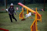 IMG_9739