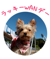 wanday