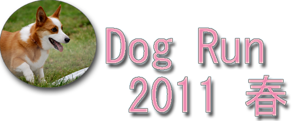 dogrun2011sp