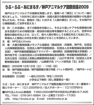 dogsports11