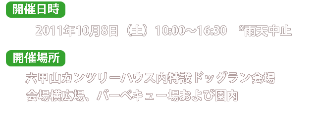 wan日時