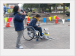 犬デモ