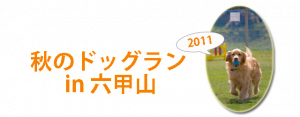 秋のドッグラン
