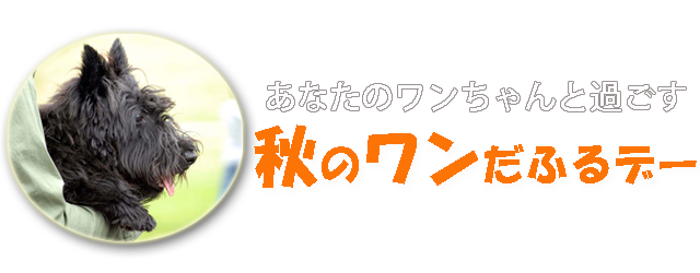 ワンだふるデーhp