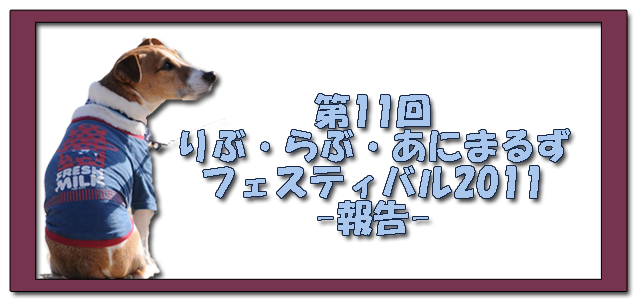 11th-live-repo