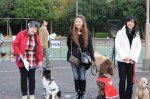 DSC_5411K9集合