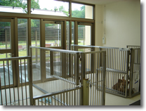 譲渡犬室