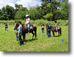 Kauai Humane Society �K�� 2008