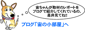 ブログ「宙の小部屋」へ