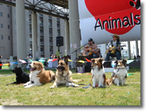 Y2 Day with Dogs 2007