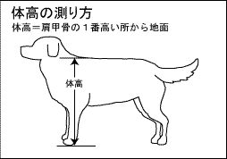 ̍̑