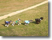 ZbRJc[nEX@DOG@RUN