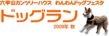 hbO2009NH