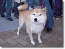 ̃