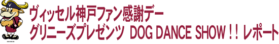 BbZ_˃t@Ӄf[ O[j[Yv[c DOG DANCE SHOW ! ! |[g