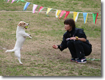 持って来て大会参加者の皆様
