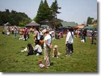 ワンちゃん大運動会開会式