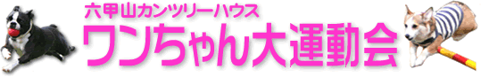 ZbRJc[nEX ^ ^Cg