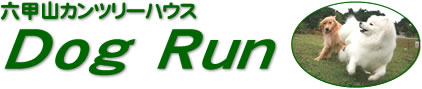 ZbRJc[nEX Dog Run ^Cg
