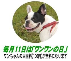 11́u̓v