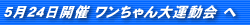 524J ^