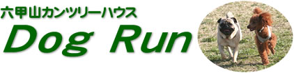 ZbRJc[nEX Dog Run ^Cg