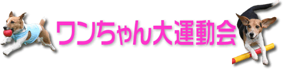 ZbRJc[nEX ^