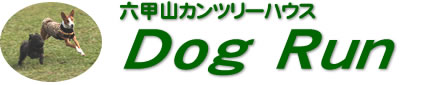 Dog@Run