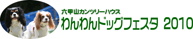 ZbRJc[nEX hbOtFX^ ^Cg