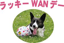 bL[WANf[